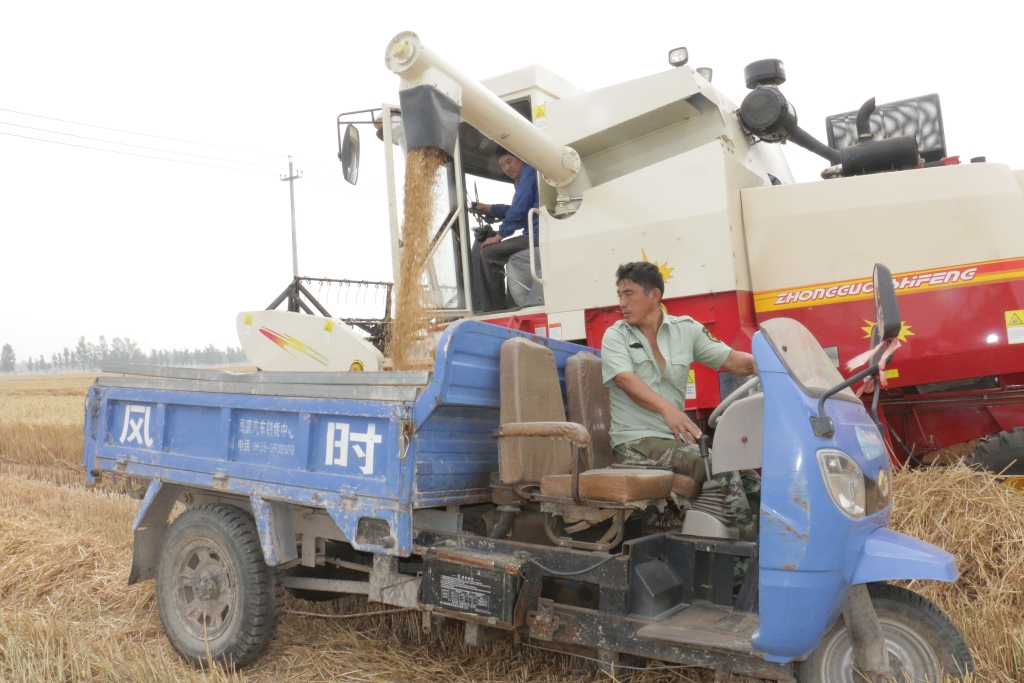 esball·官方(中国)世博网站首页